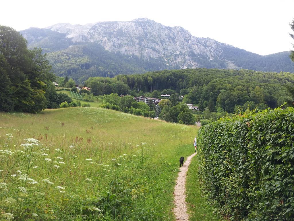 Pension Schwarzenbach Bad Reichenhall Kültér fotó