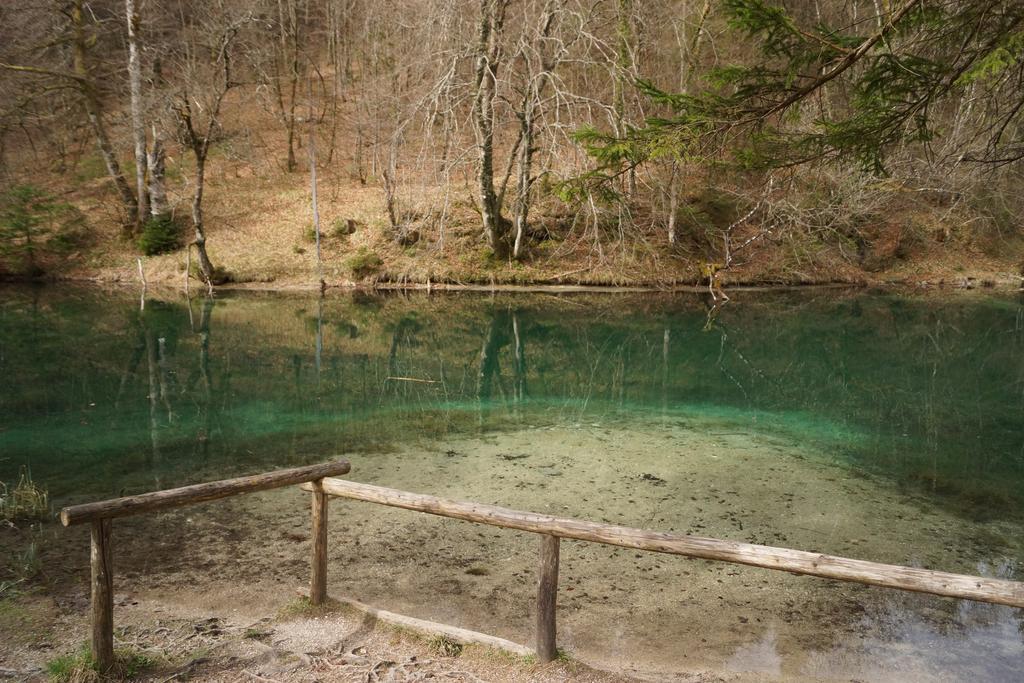 Pension Schwarzenbach Bad Reichenhall Kültér fotó